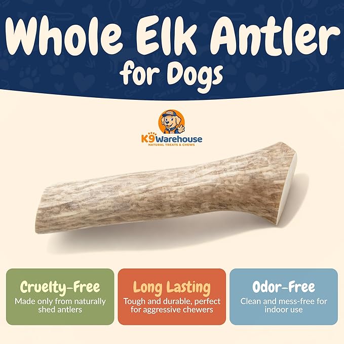 K9warehouse Natural Elk Antlers for Dogs - Premium Grade Dog Antler Chews - Long-Lasting Whole Deer Antles Ideal for Aggressive Chewers - Safe USA Sourced Chew for Medium and Large Dogs - 1 Pack