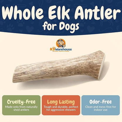 K9warehouse Natural Elk Antlers for Dogs - Premium Grade Dog Antler Chews - Long-Lasting Whole Deer Antles Ideal for Aggressive Chewers - Safe USA Sourced Chew for Medium and Large Dogs - 1 Pack