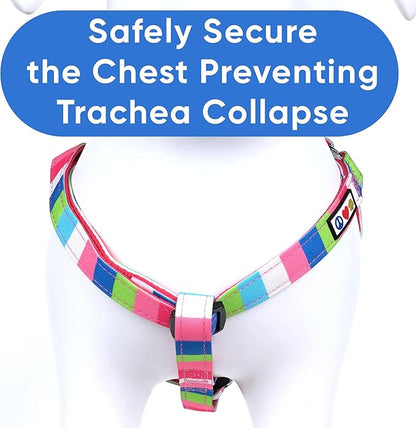 Pawtitas Multicolor Step-in Dog Harness – Adjustable No-Pull Vest for Puppies to Seniors, Safe & Comfortable XS Pink/Blue/Teal/Green