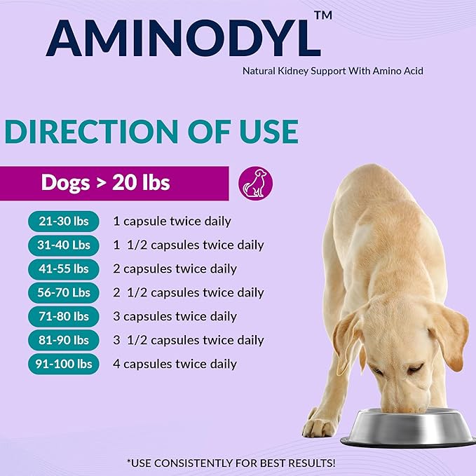 Aminodyl™ Kidney Support Supplement 1100mg for Dogs - Supports Natural Kidney Function with Amino Vastly Promotes Health, Wellbeing & Vitality of Kidneys 120 Sprinkle Capsules. Made in U.S.A