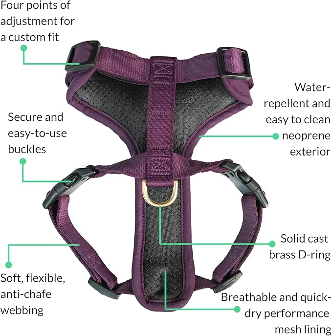 DJANGO Adventure Dog Harness - Stylish, and Durable Large Dog Harness for Outdoor Adventures and Everyday Wear - Plum Purple Neoprene Adjustable Harness for Dogs with Reflective Piping, Brass D-Ring