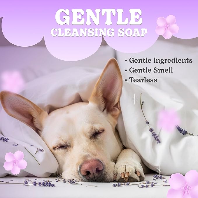 Lavender Dog Shampoo Bar 2 Pack – Gentle Pet Soap with Mango Butter & Nourishing Oils – Deodorizing Dog Shampoo for Smelly Dogs – Soothing, Hydrating Puppy Soap for Sensitive Skin & Odor Control