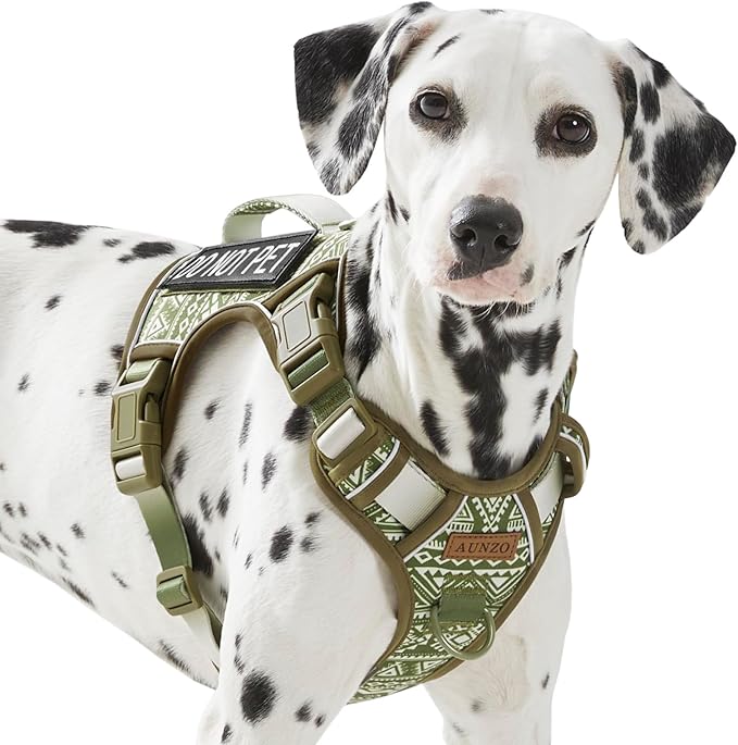 Service Dog Vest Harness with 2 Velcro Patches, No Pull Dog Harness for Walking Training Hiking, Metal D-Rings Easy on/Off Neck Buckle Reflective Strips Soft Padded Handle, Green