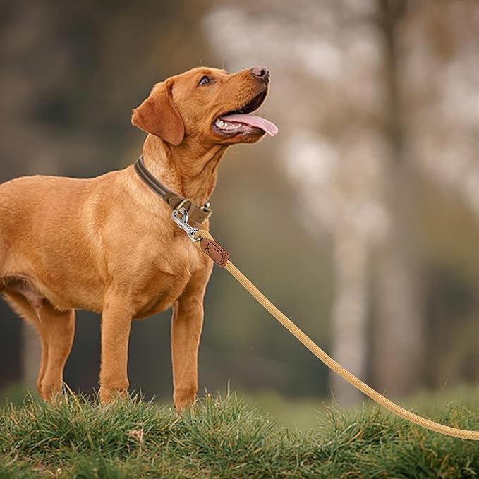 Mile High Life | Premium Leather Handle Dog Leash | Strong Rope Leash | Zinc Alloy Strong Clasp | Small Medium Large Dogs | 4/5/6 Feet(Yellow, 60 Inch (Pack of 1))
