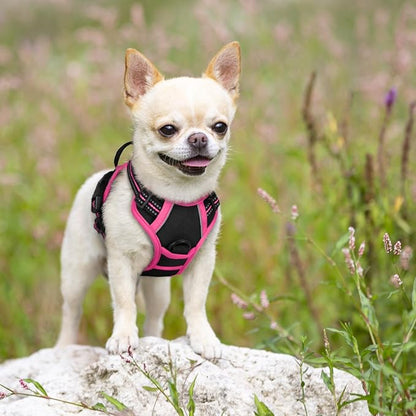 rabbitgoo Dog Harness No Pull with 2 Leash Clips, Adjustable Soft Padded, Reflective Oxford No Choke Pet Vest with Easy Control Handle for Large Dogs, Black & Hot Pink, XS
