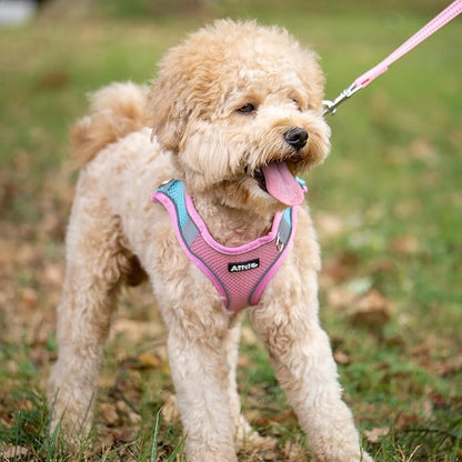 AIITLE Step in Dog Harness and Leash Set - No Pull Escape Proof Vest Harnesses with Soft Mesh and Reflective Bands, Adjustable Pet Outdoor Harnesses for Small and Medium Dogs Pink M