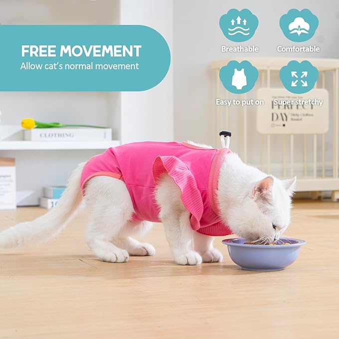 Avont Cat Recovery Suit - Post-Surgery Onesie for Cats, Alternative to Cone of Shame, Protective Spay Suit for Female Kitten, Ideal for Healing and Skin Conditions -Magenta(M)