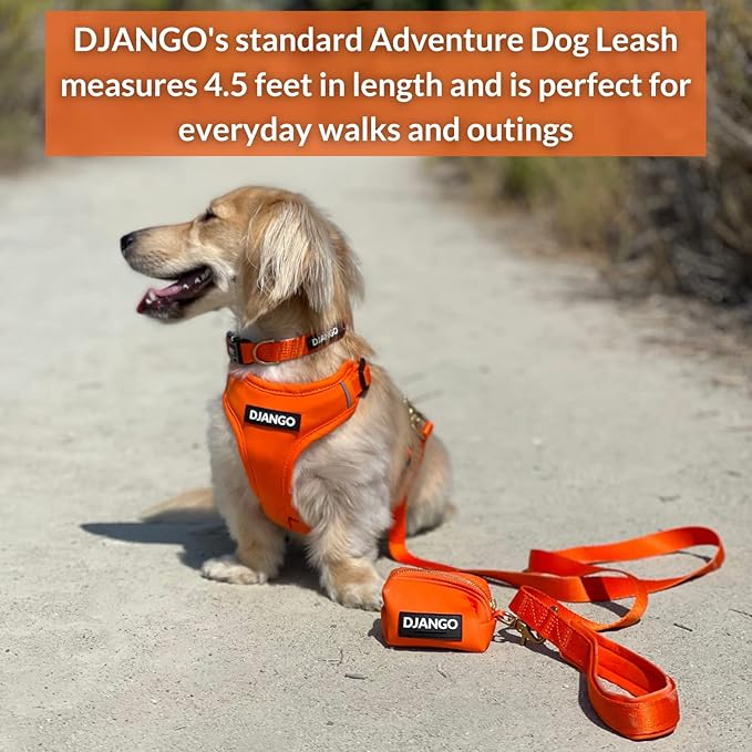 DJANGO Adventure Dog Leash – Strong, Comfortable, and Stylish Dog Leash with Solid Brass Hardware and Padded Handle - Designed for Outdoor Adventures and Everyday Use (Sunset Orange)