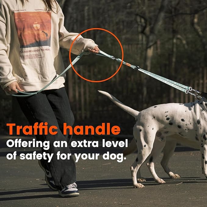 HOWGO Double Dog Leash, No Tangle 360° Swivel, Adjustable Two Padded Handles, Double Clip Dog Leash Coupler Splitter for 30~150 lbs Large and Medium Breeds (Yellow, 4/5'' x 4.8 FT, Std)