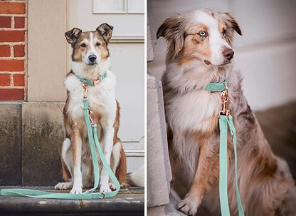 Soft Leather Dog Collar and Leash (6.6') Set - Stylish Rose Gold Heavy Duty Metal Buckle, 4 Adjustable Lengths Leash for Small Medium Large Dogs - Comfortable & Easy to Clean Mint Green L(15.4"-24.8")