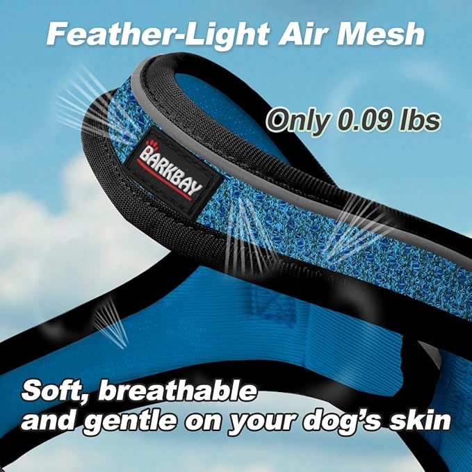 Dog Harness and Leash Set,Step in Small Sized Dog Harness,Soft Mesh,No-Chock,Reflective Adjustable,Secure with Hook & Loop Fastener,Puppy Vest for Small,Medium Dogs(Blue/Black,XS)