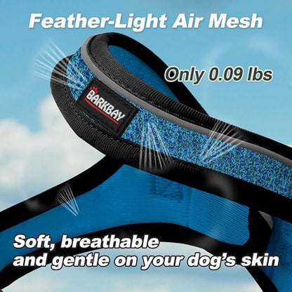 Dog Harness and Leash Set,Step in Small Sized Dog Harness,Soft Mesh,No-Chock,Reflective Adjustable,Secure with Hook & Loop Fastener,Puppy Vest for Small,Medium Dogs(Blue/Black,XS)