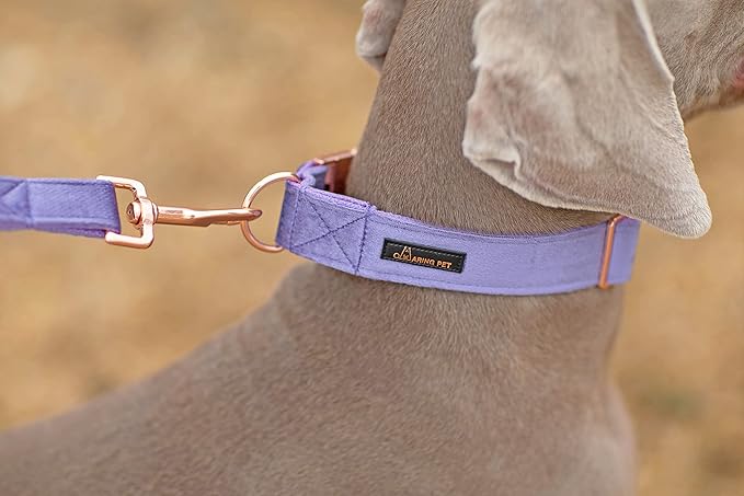 ARING PET Velvet Dog Collar and Leash Set, Soft Purple Dog Collar and Leash, Adjustable Collars for Dogs