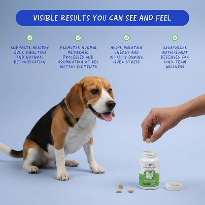 Milk Thistle for Dogs - 120 Chewable Tablets - Silymarin - Liver and Kidney Support with EPA & DHA - Detox - Liver Supplement for Dogs with Choline and L-Arginine