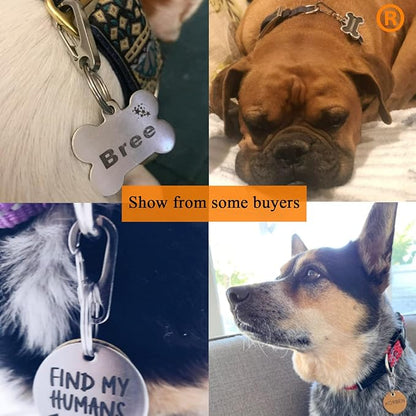 Dog Tag Clips / 2 Pack/Multiple Size 304 Stainless Steel Quick Clip with Rings/Easy Change Dog Cat ID Tag Holder for Small pet Collars and Harnesses.(2 Medium Silver)