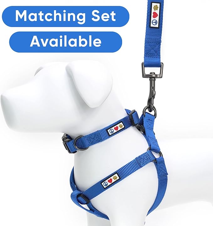 Pawtitas Solid 6 ft Blue Dog Leash XS/S Custom Name and Phone Embroidery Strong Nylon Leash for Small Breeds