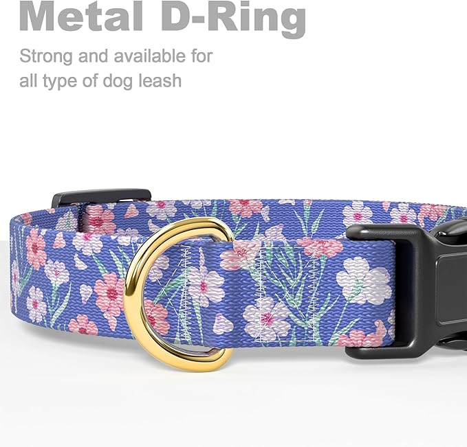 Rnivvi Dog Collar for Small Dogs, Cute Floral Heavy Duty Adjustable Puppy Collar with Quick Release Buckle for Girl & Female, Pet Accessories for Walking Running, XS Length 5/8" Width, White Blue