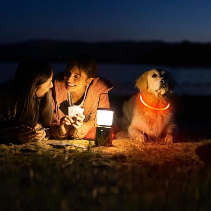 HIGO Light Up Dog Collar USB Rechargeable LED Dog Collar Glow in The Dark, TPU Flash Dog Necklace Light Make Your Dogs Be Visible& Safe (Orange)