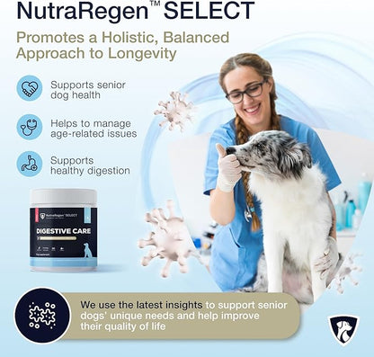 Select Digestive Senior Dog Probiotic Powder 30 Scoops | Beef Flavored Dog Probiotics for Digestive Health, Supports Gut Health, Scratching, Itchy & Dry Skin, Allergies 2.1 Oz | 7 Bn CFU