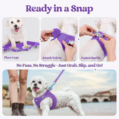 rabbitgoo Dog Harness Small Sized and Leash Set, Step in Soft Light Puppy Vest, Breathable Mesh Pet Harness, Reflective for Safe Outdoor Walking, Purple S