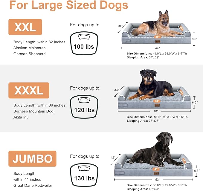 Large Dog Bed Orthopedic Washable: Beds Bolster XL Bed Big XLarge Dogs Memory Foam Sofa Couch Waterproof Removable Cover