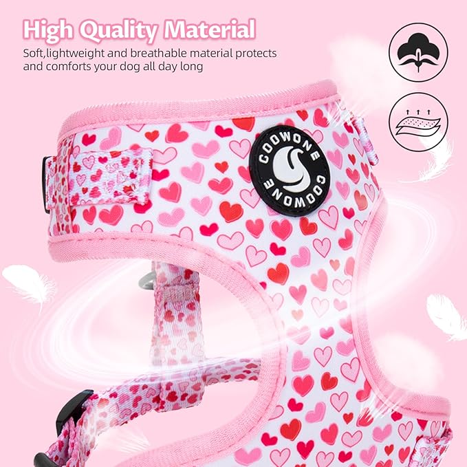 Dog Harness and Leash Set, Adjustable Dog Harness, Dog Leash, No Pull No Choke Puppy Harnesses for Walking Training for Small, Medium Pet (Little Love, S(Chest 14-19.6", Neck 10.6-13"))