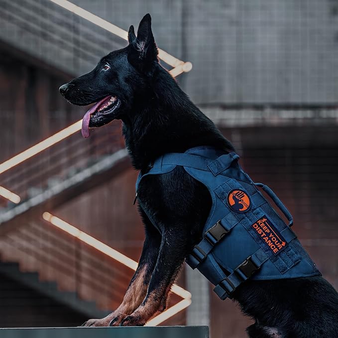 OneTigris Tactical Dog Harness for Small Dogs with Handles, Mesh Design Service Dog Vest Breathable Military Dogs Molle Vests with Handles, Harness for Walking Hiking Training (Blue, XS)