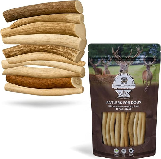 WhiteTail Naturals - Antlers for Small Dogs (10 Pack) Deer Antler Dog Chew Bones for Small Aggressive Chewers - Long Lasting Horn Chew Toys - Naturally Shed