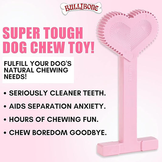 Bullibone Nylon Dog Chew Toy for Aggressive Chewers - Dental Hygiene Bone with Peppermint Flavor, Durable Tough Chew Toys for Small Dogs, Indestructible Dog Bone - 3 Pack