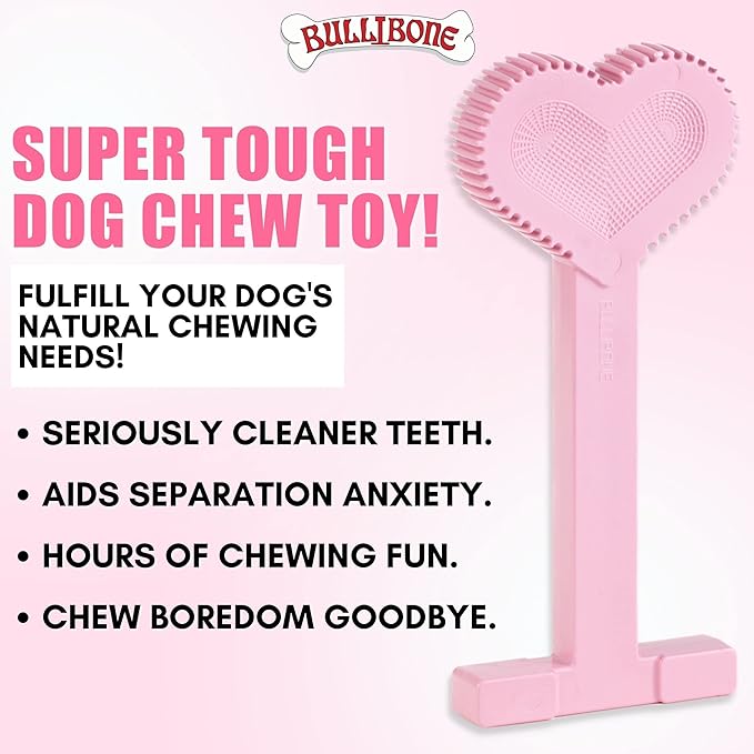 Bullibone Nylon Dog Chew Toy for Aggressive Chewers - Dental Hygiene Bone with Peppermint Flavor, Durable Tough Chew Toys for Small Dogs, Indestructible Dog Bone - 2 Pack