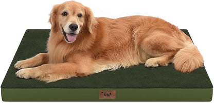 Tail Stories Orthopedic Dog Bed for Extra Large Dogs, XL Comfort Pet Mat for Large Sized Dog 44x32 Inch, Egg Crate Foam with Removable Washable Oxford Cover, Olive Green