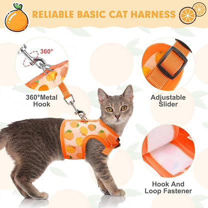 BINGPET Cat Harness with Leash Escape Proof - Fashionable Mesh Cat Dog Walking Harness Leads, Adjustable for Kitties Puppies Small Animals,Orange,M