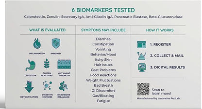 Innovative Pet Lab Comprehensive Gut Health Check for Dogs - at-Home Stool Test for Digestion, Immune & Leaky Gut Symptoms Like Diarrhea, Allergies, Itchy Skin, Bad Breath - Easy Non-Invasive Testing