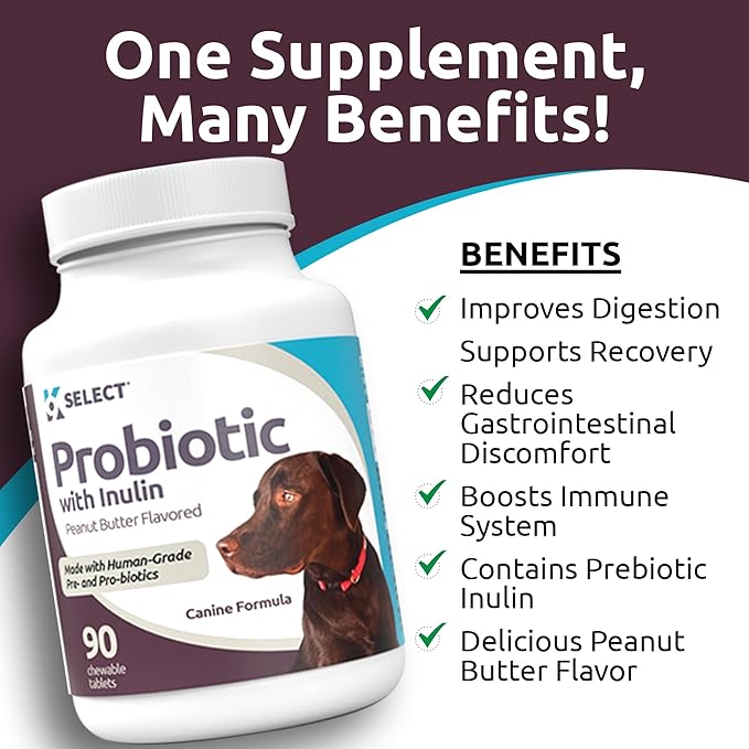 K9 Select Pet Probiotics for Dogs with Inulin – Dog probiotics for Digestive Health & Gut Support with Digestive Enzymes for Dogs, Supports Yeast Balance & Dog Digestive Support – 90 Tablets