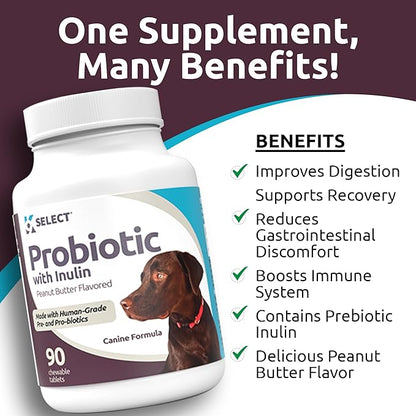 K9 Select Pet Probiotics for Dogs with Inulin – Dog probiotics for Digestive Health & Gut Support with Digestive Enzymes for Dogs, Supports Yeast Balance & Dog Digestive Support – 90 Tablets