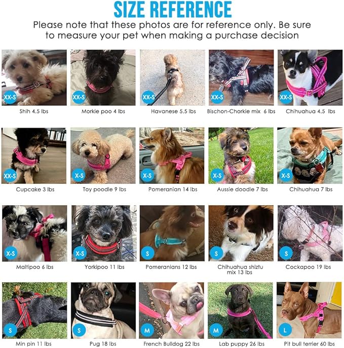 Lukovee No Pull Dog Harness and Leash Set, Soft Padded Small Dog Harness, Neck & Chest Adjustable Reflective Vest Puppy Harness with 4ft Lightweight Anti-Twist Dog Leash for Small Dogs (XS, Blue)