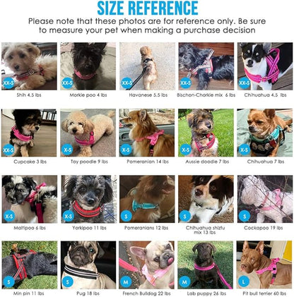 Lukovee No Pull Dog Harness and Leash Set, Soft Padded Small Dog Harness, Neck & Chest Adjustable Reflective Vest Puppy Harness with 4ft Lightweight Anti-Twist Dog Leash for Small Dogs (Blue, M)