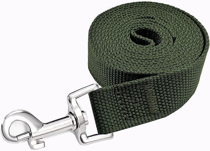Strong Nylon Dog Leash, 4FT/ 5 FT/ 6FT Dog Leashes for Medium Large Dogs (6FT, Green)