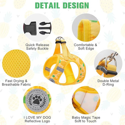 BEAUTYZOO Step in Dog Harness and Leash Set,Reflective Dog Harness No Pull No Choke Puppy Harness for Small Medium Large Dogs Cats,Soft Padded Mesh Vest Harnesses for Girl and Boy Pets, Pineapple S