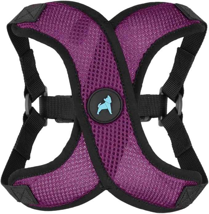 Gooby Comfort X Step in Lite Dog Harness - Choke Free, Escape Free with Light Breathable Mesh - Step in Dog Harness for Small Dogs Only - Quick Release Buckle, Metal D-Rings - Purple, Large