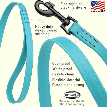 Dogline Biothane Waterproof Dog Leash Strong Coated Nylon Webbing with Black Hardware Odor-Proof Easy to Clean High Performance for Small or Large Dogs Made in USA 4 or 6 ft Lead, Sky Blue