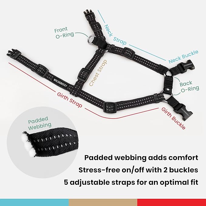 Wildebeest Valencia No Pull Dog Harness | Front and Back Leash Clips | Soft Padded Straps | Lightweight, Adjustable, Easy On/Off for Training and Dog Walking | X-Small Black