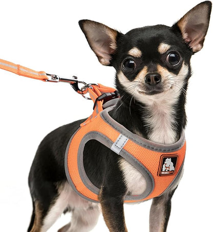 Dog Harness Medium Sized Dogs, Puppy Harness and Leash Set for Training, Running, Walking, Suitable for Small and Medium Dog Vest, Orange, S