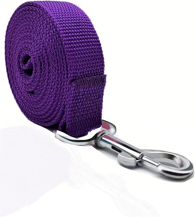 TAIAN 4FT/5FT/6FT Strong Dog Leash, Nylon Dog Leashes for Small Medium Large Dogs (3/4 in x 5 ft, Purple)