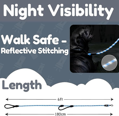 6 Foot Dog Leash, Two Extra Padded Handles, Locking Carabiner Clip, Reflective for Night Visibility, Weatherproof, Heavy Duty Rope Leash, Roam Gear (Blue)