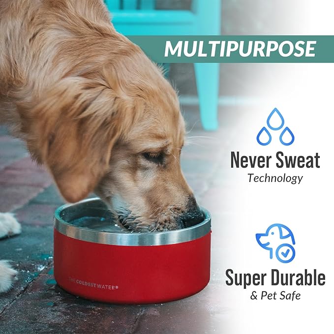 Coldest Dog Bowl - Anti Rust Metal, Non Slip, 3 Layers Insulated Stainless Steel Dog Bowls - Spill Proof & Heavy Duty - Water Bowl for Dogs, Cats & Pets, Dish Washer Safe (100 oz, Stealth Black)