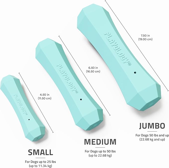 Playology Dog Toys | Durable Squeaky Chew Stick for Dogs | Jumbo Peanut Butter Scented Toy - Easy to Clean and Made from Non Toxic Materials