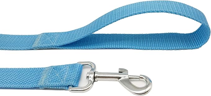 TAIAN 5 FT Strong Dog Leash, Nylon Dog Leashes for Small Medium Large Dogs Blue