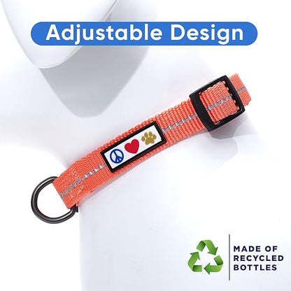 Pawtitas Recycled Dog Collar with Reflective Stitched Puppy Collar Made from Plastic Bottles Collected from Oceans Extra Small Living Coral