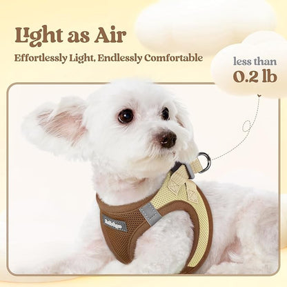 rabbitgoo Dog Harness Small Sized and Leash Set, Step in Soft Light Puppy Vest, Breathable Mesh Pet Harness, Reflective for Safe Easy Walking, Brown & Beige XS